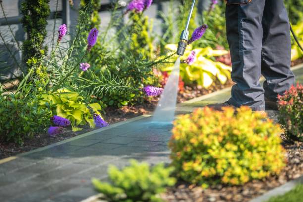 Trusted Grant Valkaria, FL Pressure Washing Services Experts